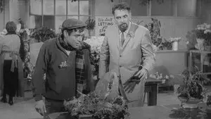 The Little Shop of Horrors