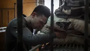 25 Years of Innocence