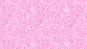 GLOOMY The Naughty Grizzly