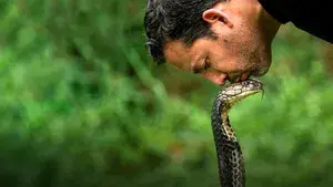 David Blaine Do Not Attempt