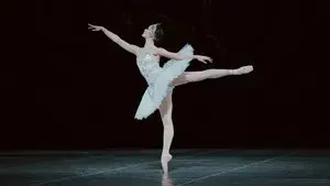 Aurélie Dupont, Instants of Grace