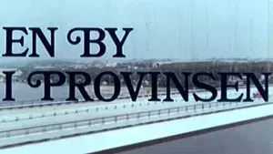 A Town in the Province