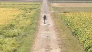 Walk, Walk, Walk ~ Shikoku Pilgrimage Journey