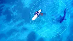 Investigation Shark Attack