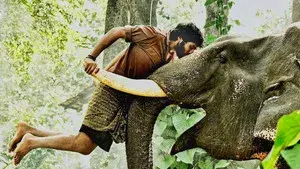 Kumki