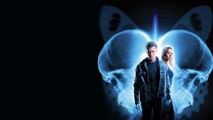 The Butterfly Effect 2