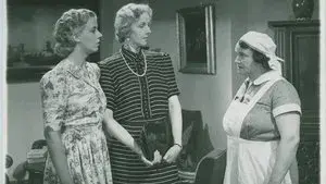 To Help the Lady of the House