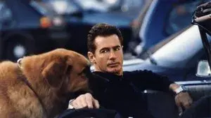 The New Adventures of Tequila & Bonetti