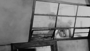 Identification Marks: None