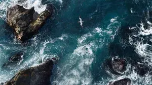 Unsere Meere: Die Nordsee. Die Ostsee