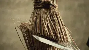 Love or Duty: Samurai Rebellion