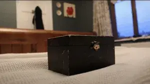Lily’s Box