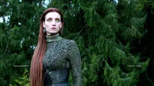 While the Fern Flowers