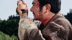 Zatoichi the Outlaw