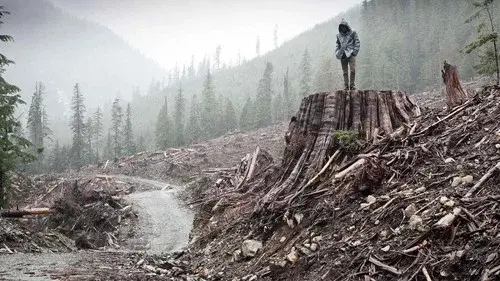 If a Tree Falls: A Story of the Earth Liberation Front