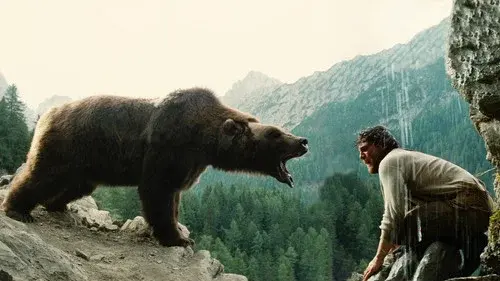 The Bear