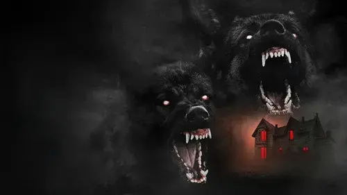The Dogs