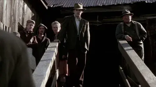 Snow Falling on Cedars