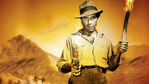 The Treasure of the Sierra Madre