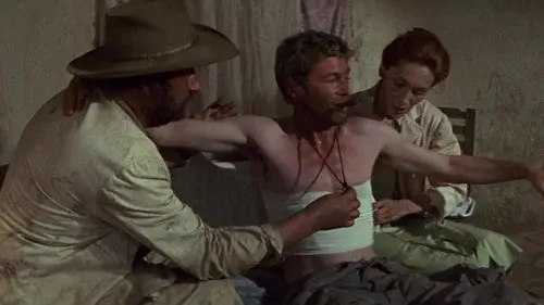 Murphy's War