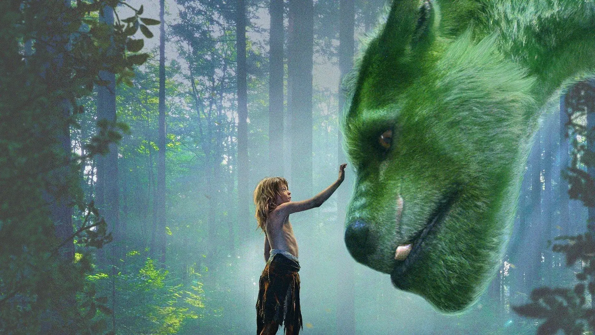 Background