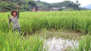 Falling From the Sky