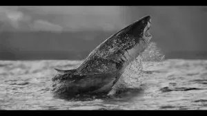 Air Jaws Strikes Back