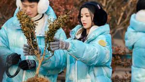 Go Fighting! Treasure Tour