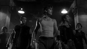 Rumble Fish