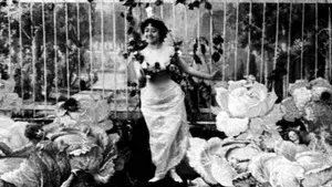 The Cabbage-Patch Fairy