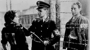 Night Train to Munich