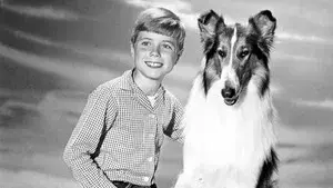 Lassie
