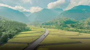 When the Stars Shine Hope Reading